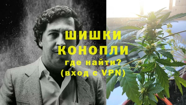 стаф Богородицк