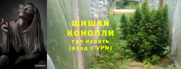 стаф Богородицк